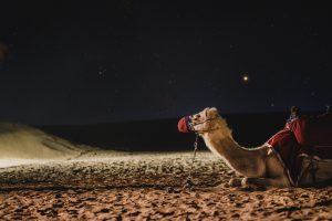 excursion desert dubai pas cher