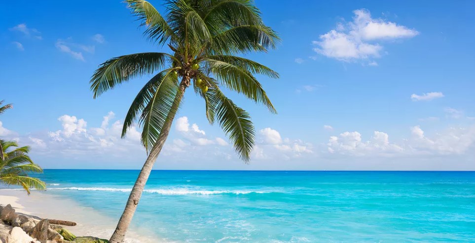 plus belle plage du mexique