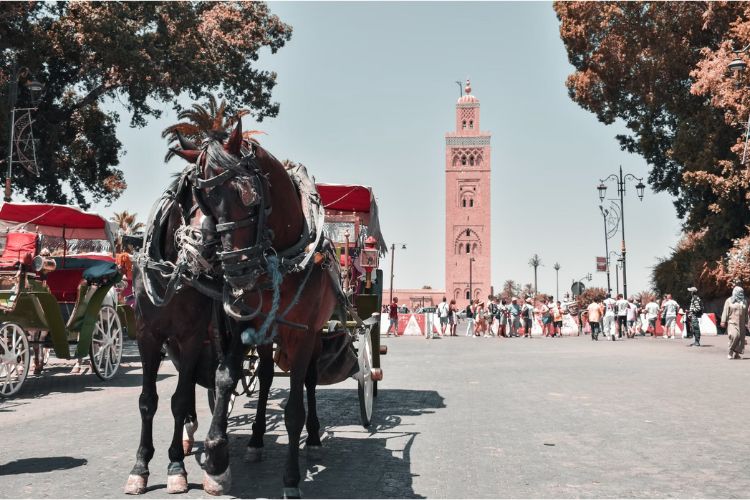 sejour à marrakech pas cher
