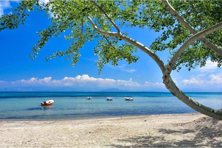 plage paradisiaque corfou