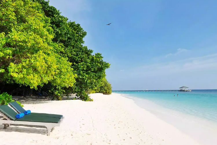 plage paradisiaque